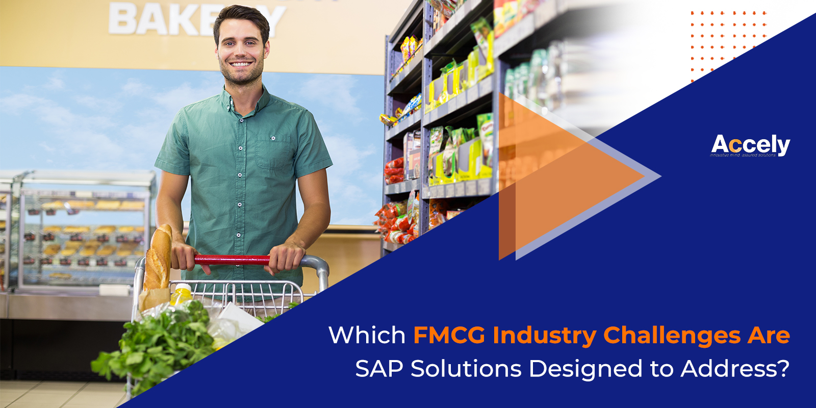 Which FMCG Industry Challenges Are SAP Solutions Designed to Address?