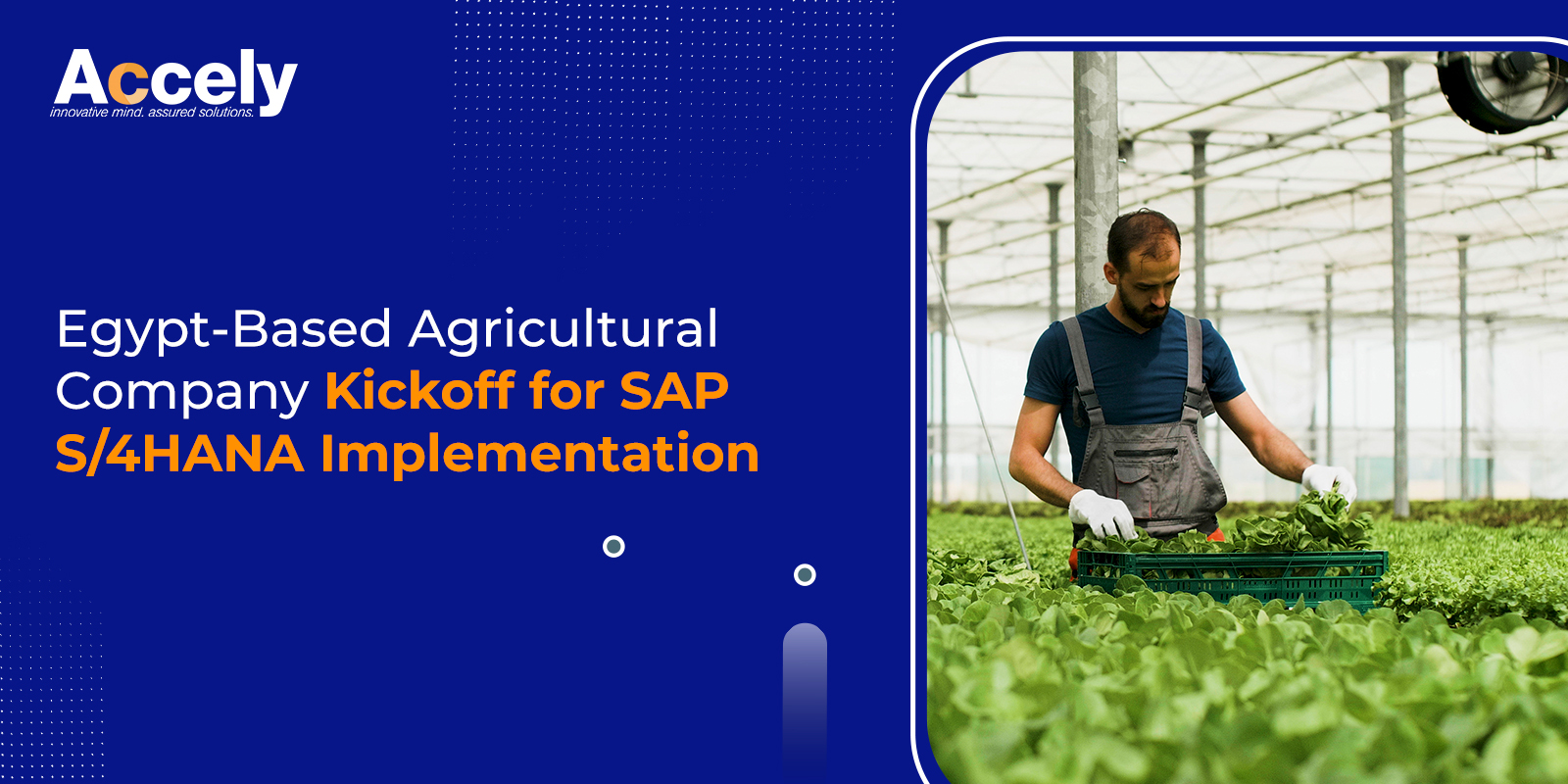 Egypt-Based Agricultural Company Kickoff for SAP S/4HANA Implementation