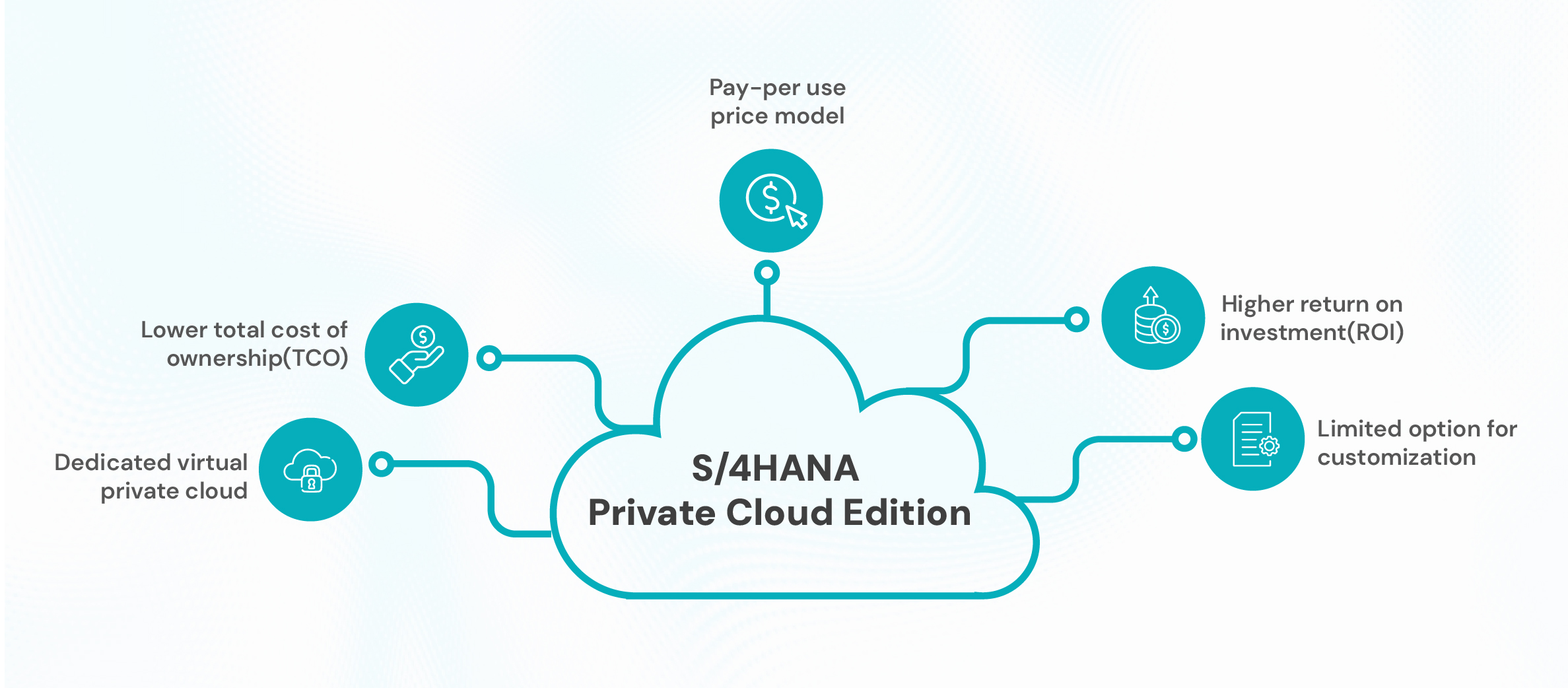 SAP S4HANA private cloud