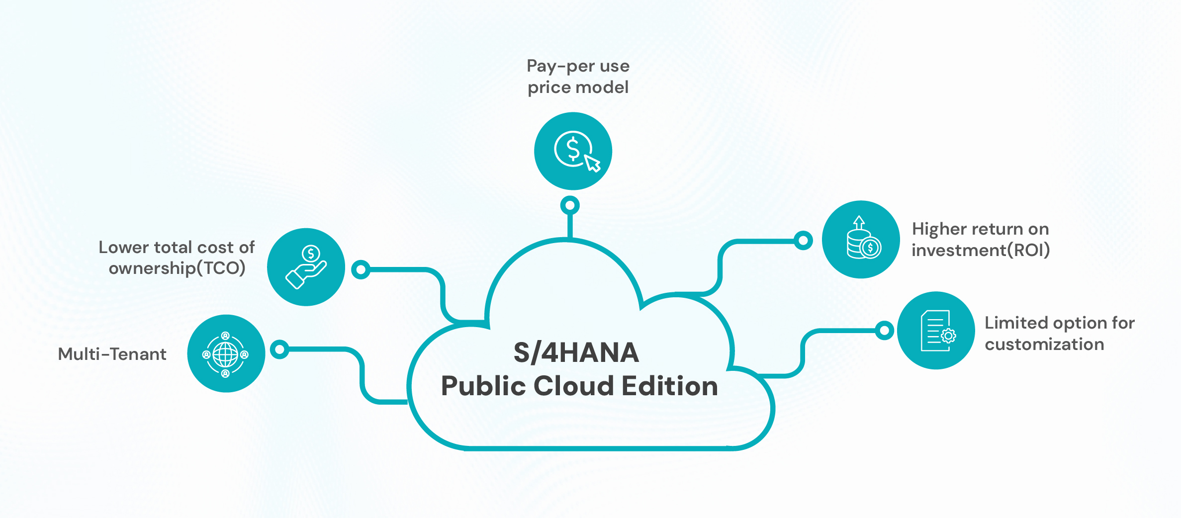 SAP S4HANA public cloud