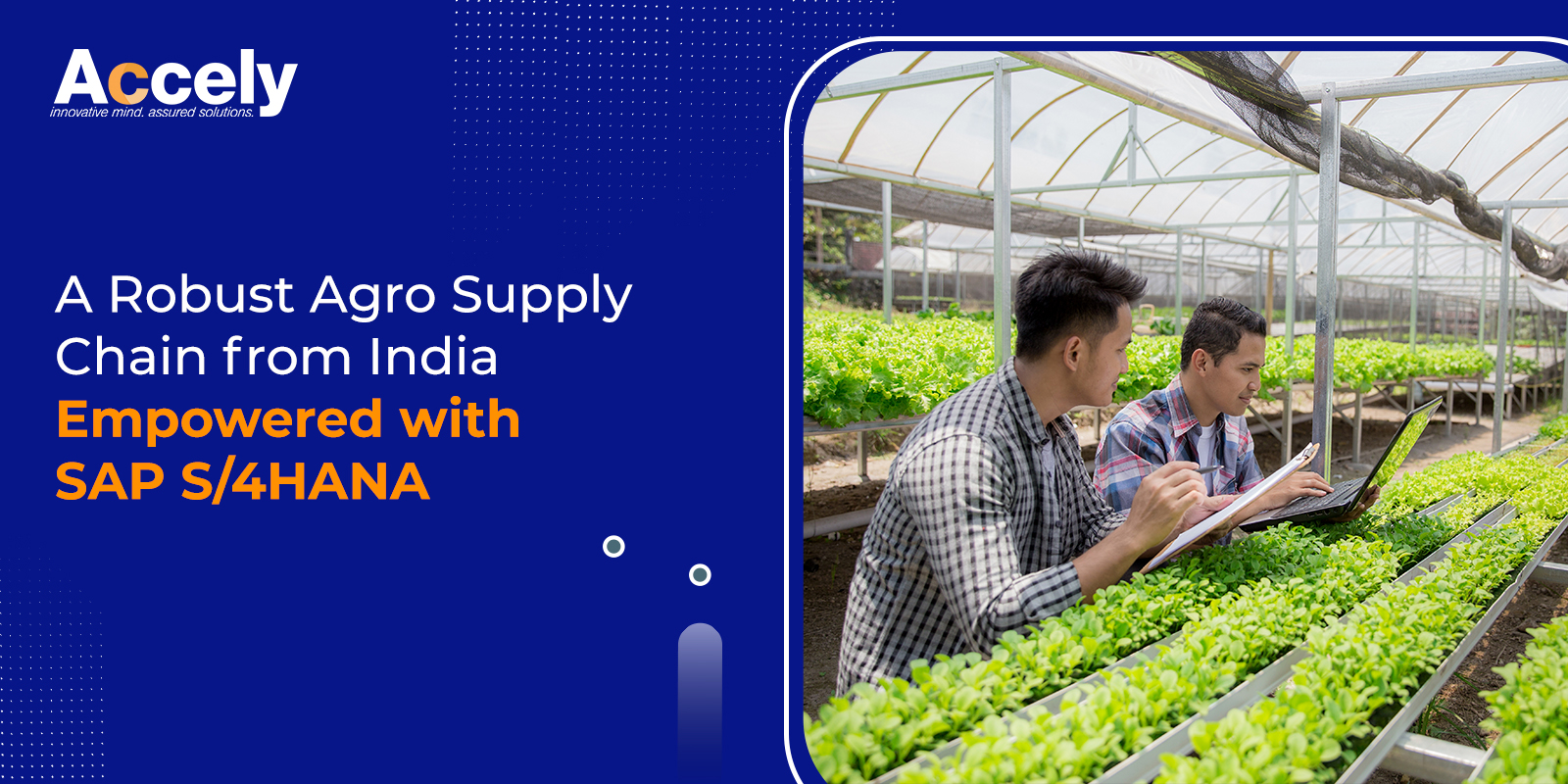 A Robust Agro Supply Chain from India Empowered with SAP S/4HANA