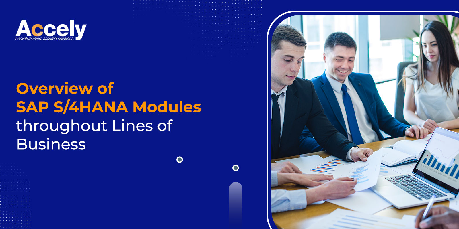 Overview of SAP S/4HANA Modules throughout Lines of Business